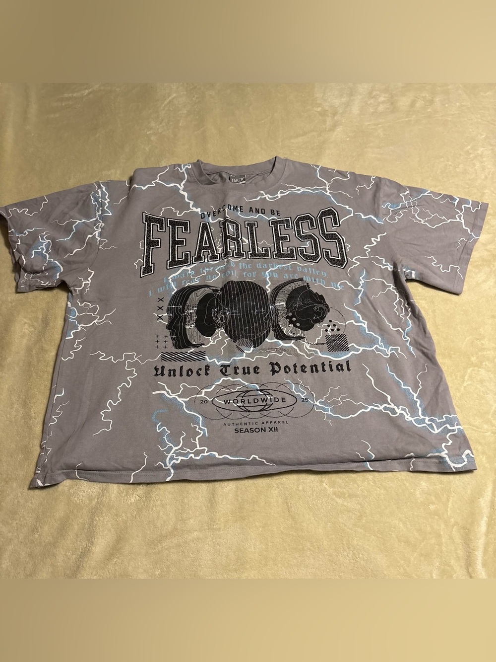 Fearless Graphic Short Sleeve Tee - Gray